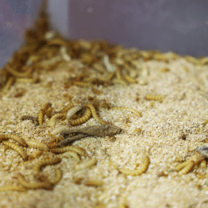 1"–1½" Large 1000